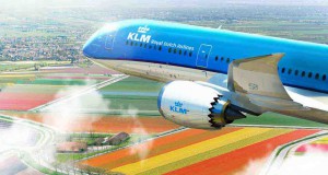 KLM 787-900